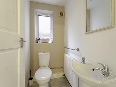 Picture 44